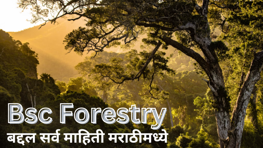 Bsc Forestry बद्दल सर्व माहिती मराठीमध्ये 