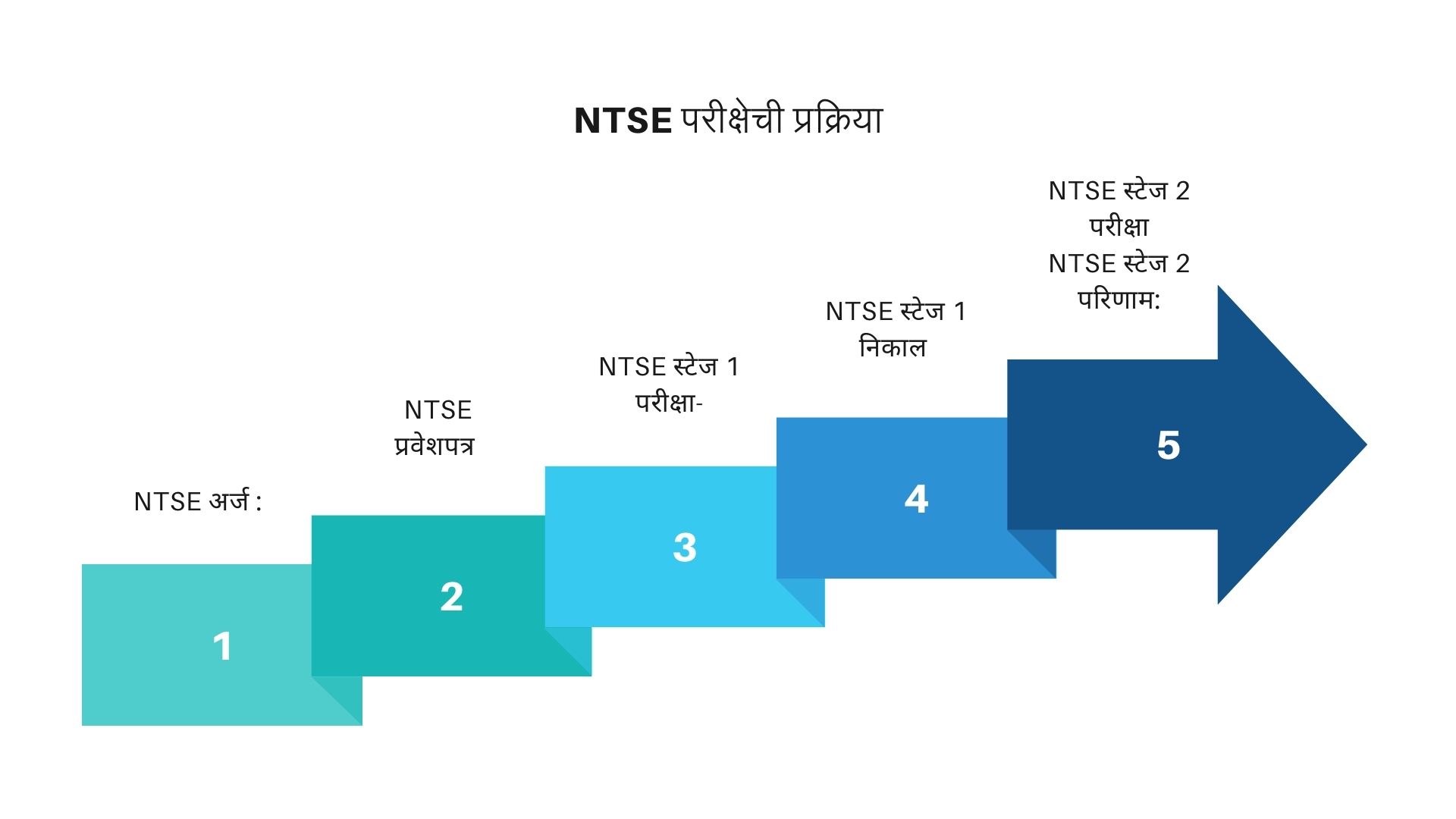 NTSE परीक्षेची प्रक्रिया